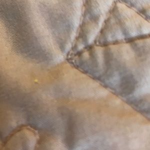 Meet your Posher, Isaac